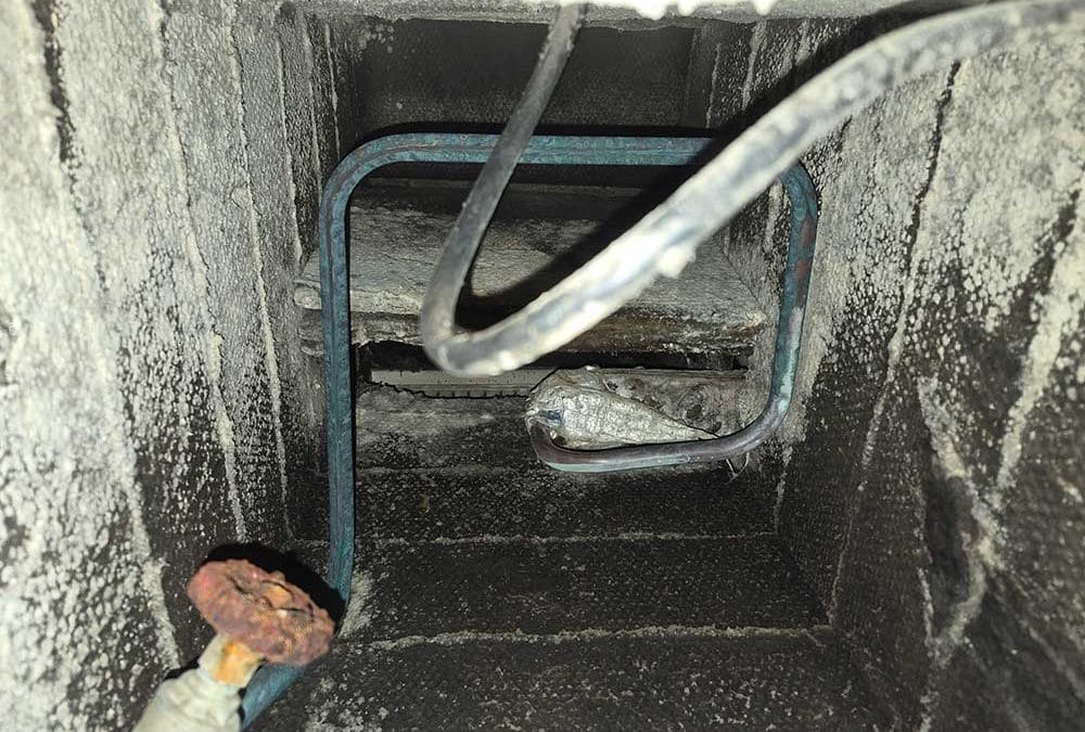I Found Mould, What Now?
