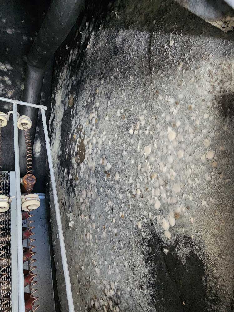 Mould fan coil
