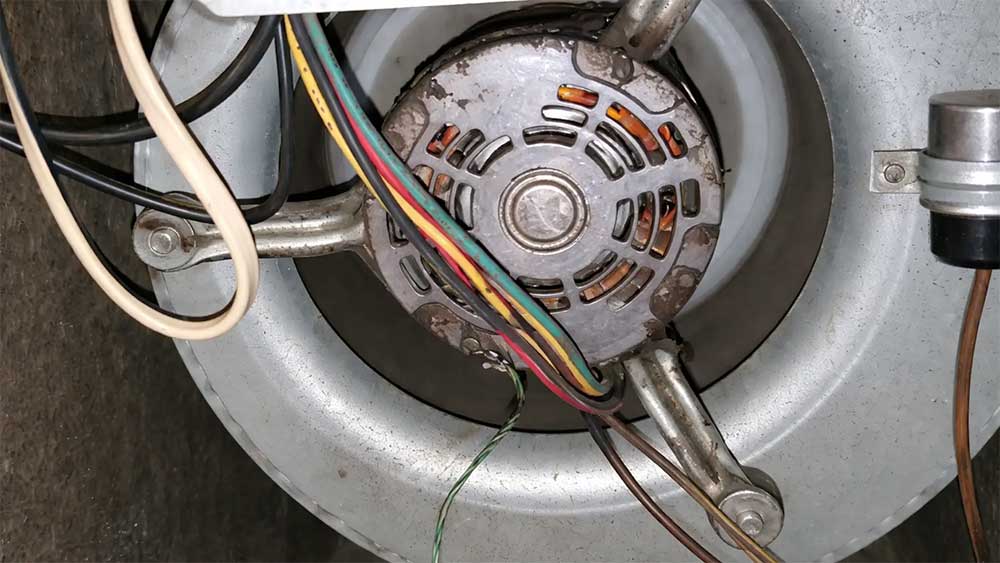 Blower motor assembly